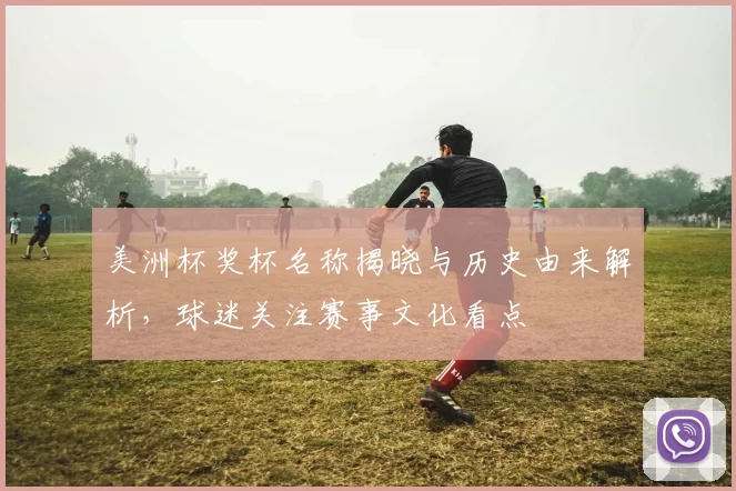 美洲杯奖杯名称揭晓与历史由来解析，球迷关注赛事文化看点