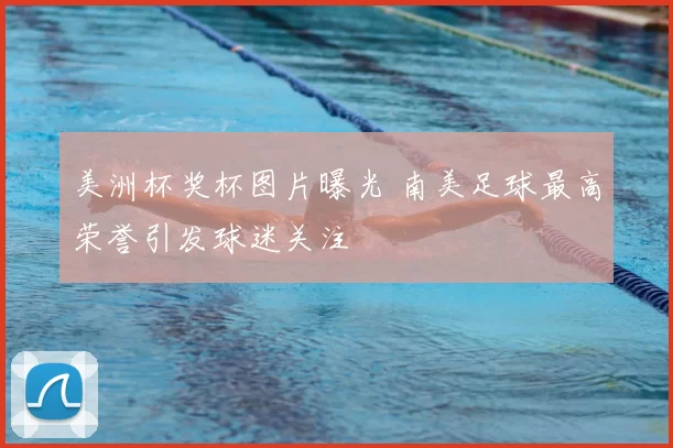 美洲杯奖杯图片曝光 南美足球最高荣誉引发球迷关注