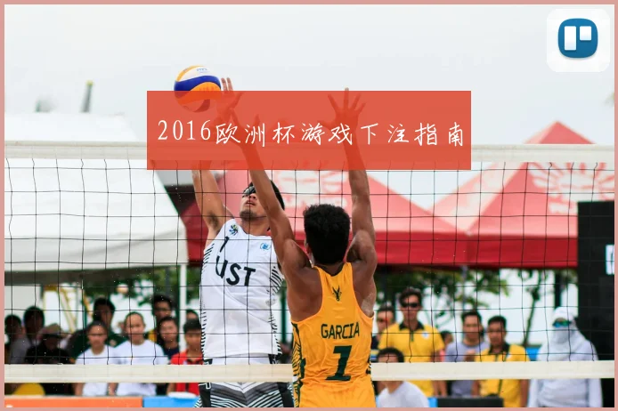 2016欧洲杯游戏下注指南