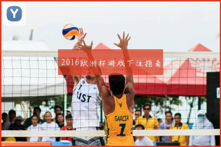 2016欧洲杯游戏下注指南