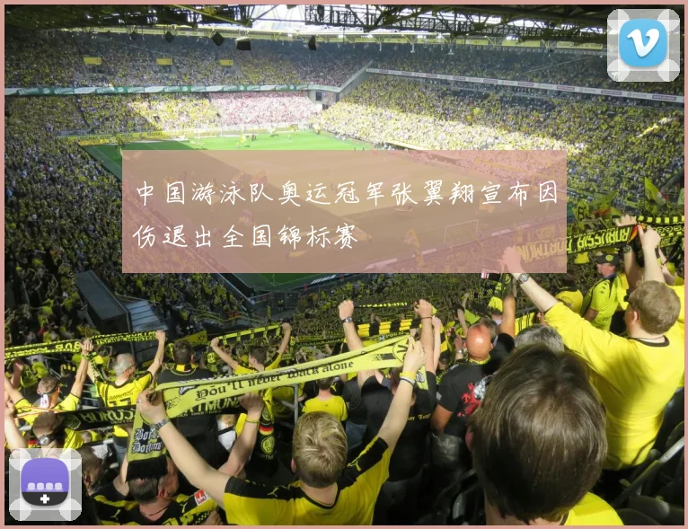 中国游泳队奥运冠军张翼翔宣布因伤退出全国锦标赛